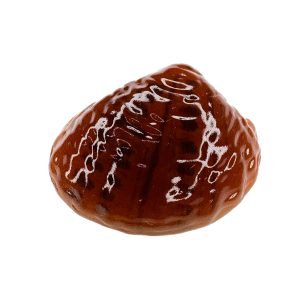 جیبیتز اورجینال صدف دریایی مسی رنگ
